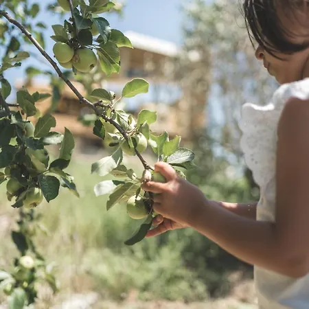 Fattoria Didattica La Collina Incantata * Narni