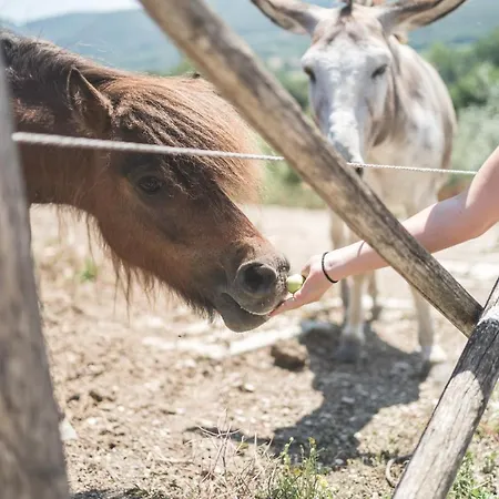 팜스테이 Fattoria Didattica La Collina Incantata 나르니