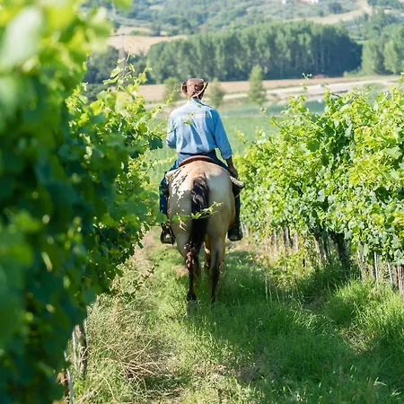 팜스테이 Fattoria Didattica La Collina Incantata