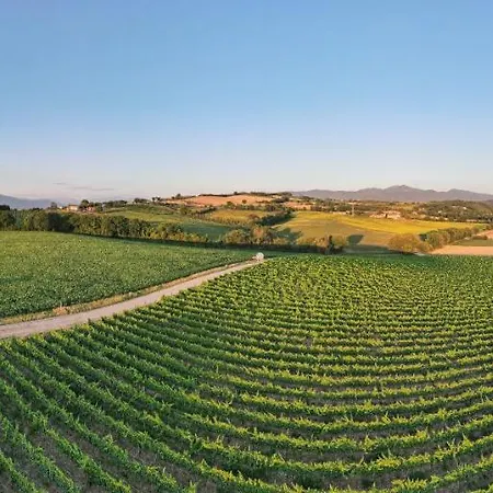 팜스테이 Fattoria Didattica La Collina Incantata 나르니