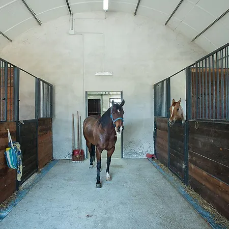 Fattoria Didattica La Collina Incantata Narni