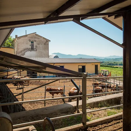 Fattoria Didattica La Collina Incantata * Narni
