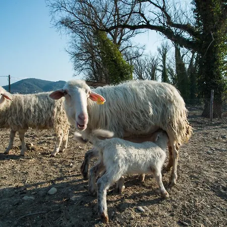 Vakantieboerderij Fattoria Didattica La Collina Incantata Narni