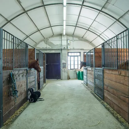 Fattoria Didattica La Collina Incantata 팜스테이 *